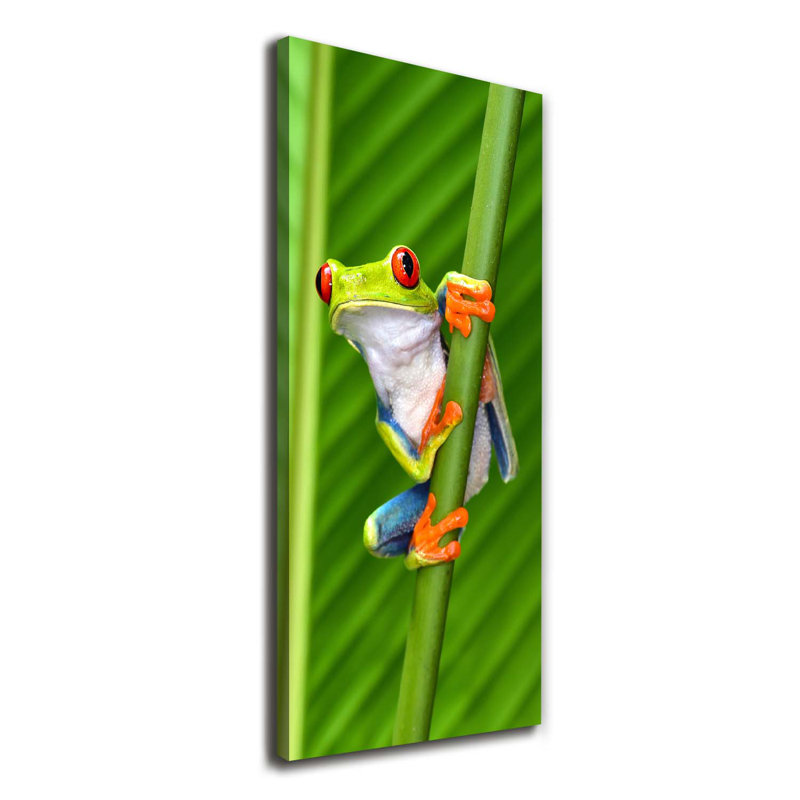 Tree Frog - Wrapped Canvas Print