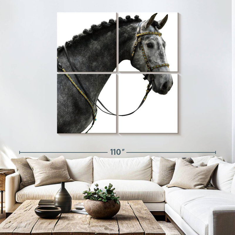 Brampt Gray Spanish Horse