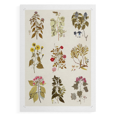 Antique Floral Grid I -Canvas Print Only - NOT FRAMED