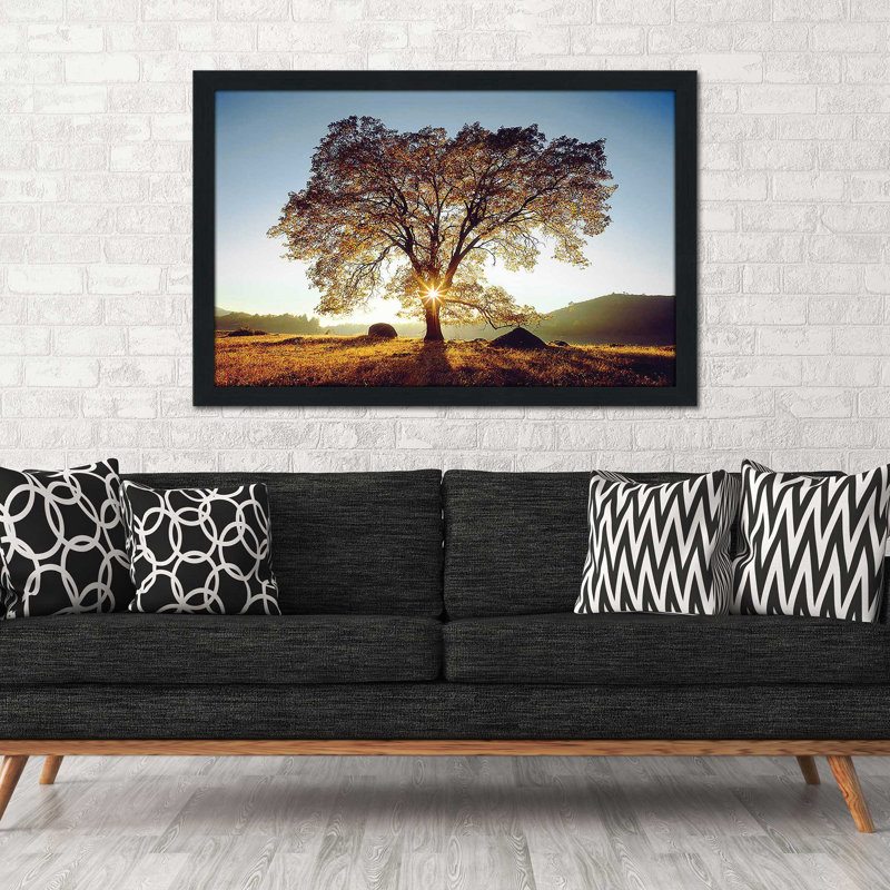 Chêne noir au coucher du soleil par Danita Delimont - photographie, H 21,5 po x l 27,5 po x P 0,75 po, Cadre espresso