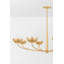 ARCATA Chandelier-1147966916-1147966917
