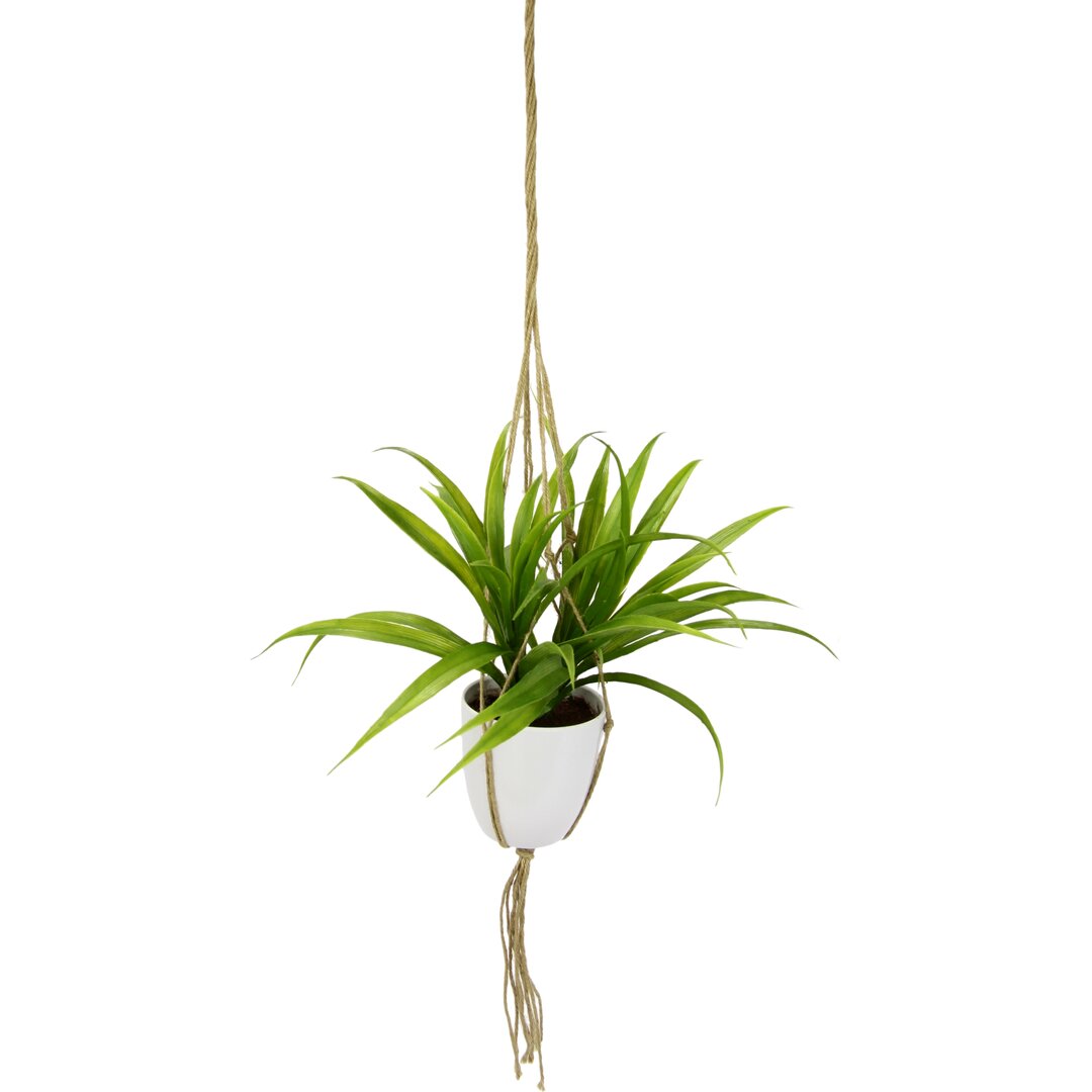 Künstliche Dracena in Hängeampel Grünpflanze hängend Blumenampel Blumentöpfe zum Aufhängen