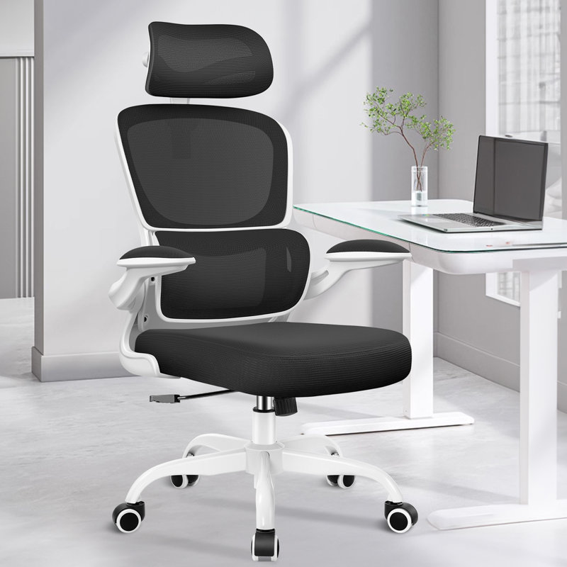 Lidwien Ergonomic Breathable Mesh Office Chair with Adjustable Headrest and Flip-Up Arms, White/Black