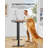 Arnfred Height Adjustable Rectangle Standing Desk-1570344573-1562932084