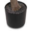 Faux Aralia Tree-Faux Aralia Tree-8'-150141452
