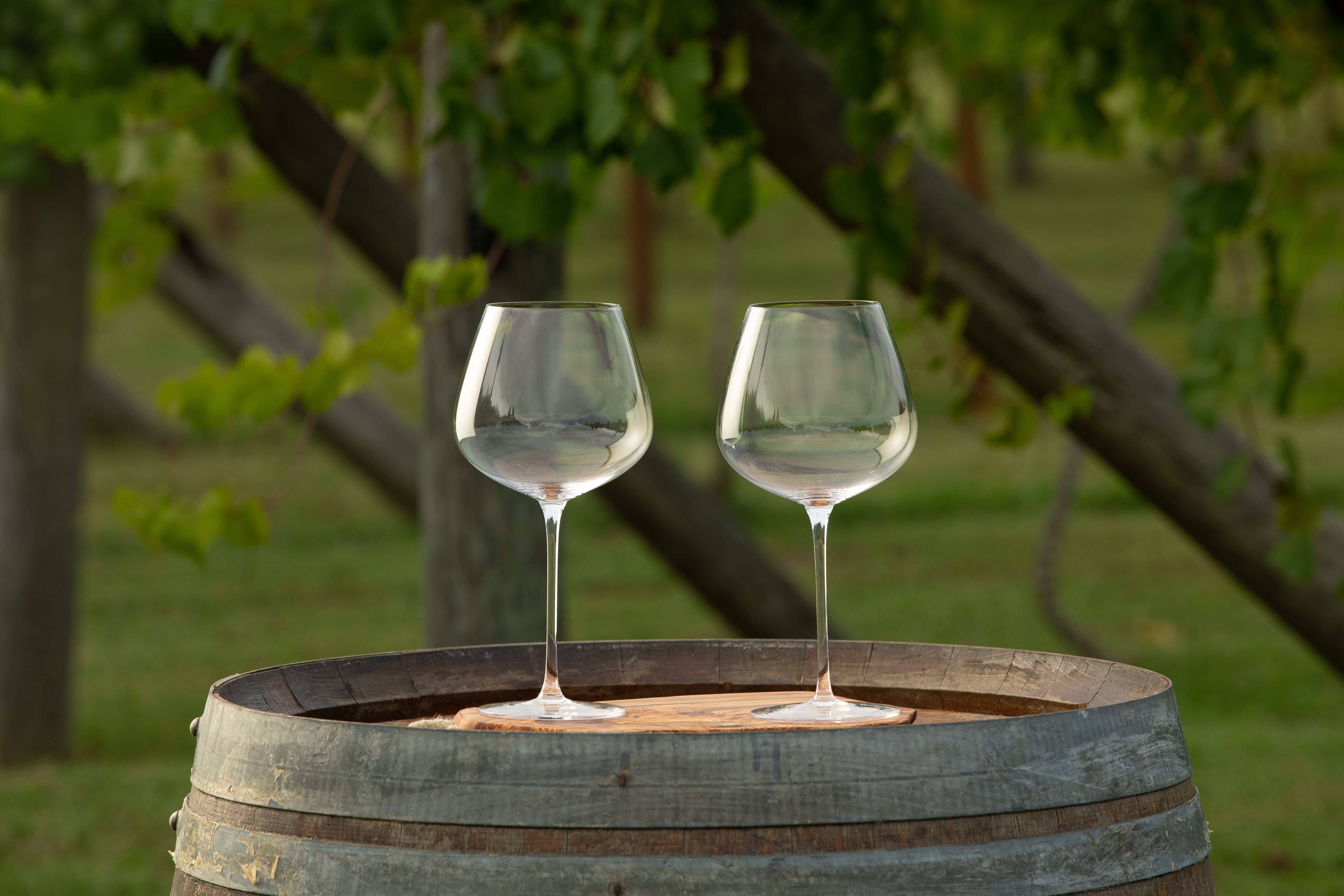 Viski Seneca Modern Wine Glasses - Long Stem Wine Glass Set for Red or  White Wine - Dishwasher Safe Crystal 15.5oz Set of 2