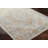 Oriental Indoor Rug-1895528018