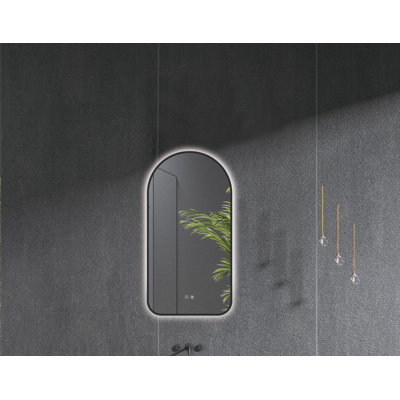 Miroir de salle de bain Ivy Bronx