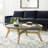 Single Coffee Table