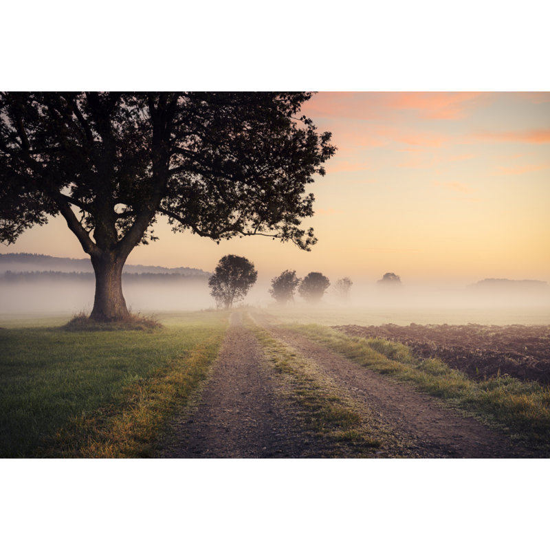 Wrapped Canvas Print, 50.8 cm H x 76.2 cm W