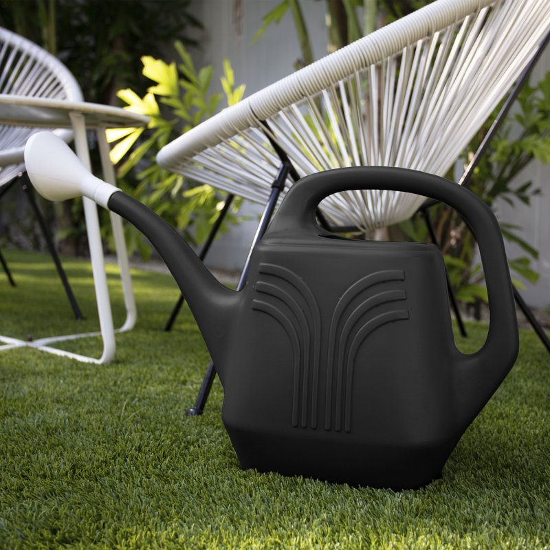 Arrosoir intérieur / extérieur en plastique 2 gallons Promo, Noir