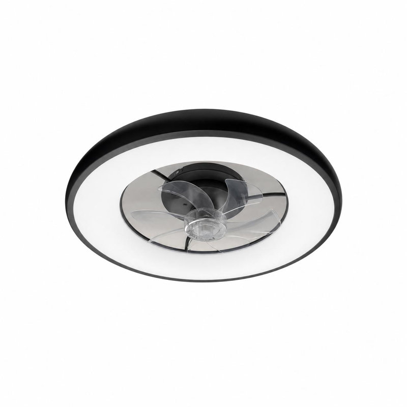 Ceiling Fan