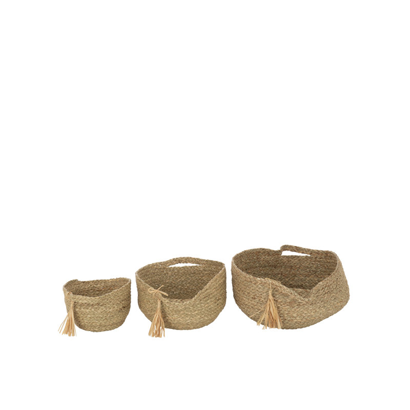Highland Dunes Waylan Solid Wood Box