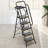 5 Step Ladder with Tool Platform
