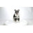 Standing Miniature Schnauzer