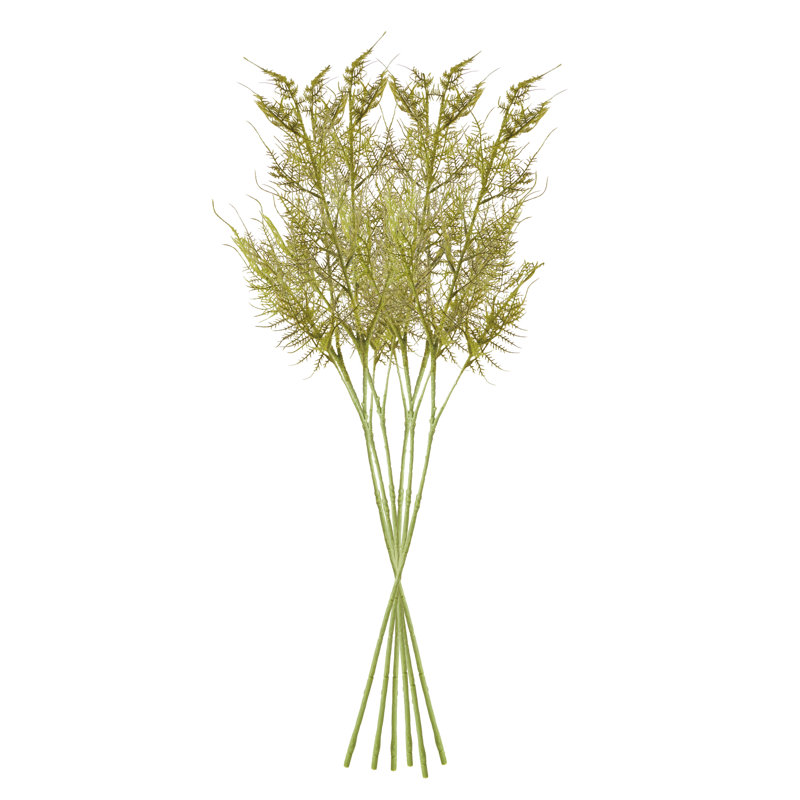 PLUMOSA TIGES, ENSEMBLE DE 6
