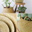 Panier de ruppie maritime-1370609682