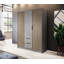 Pacursa 3 Door Manufactured Wood Wardrobe-1255255022