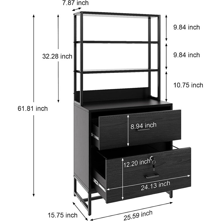 Vertical File Cabinets for Home Office with Lock and 2 Drawers, Office Organization and Storage Latitude Run Color: Black