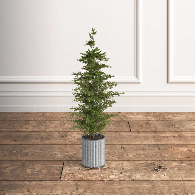 Faux Cedar Tree in Metal Pot, 26" H x 5" W x 5" D