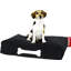 Lit pour chien Doggiel pourquoi-9974046-9974045