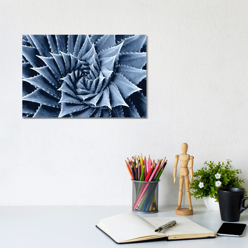Indigo Succulent I by Mia Jensen - Wrapped Canvas Painting, 20.32 cm H x 30.48 cm W