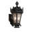 Tianna Steel Armed Sconce