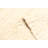 Sienna Cream Rug 5'1" x 7'9"