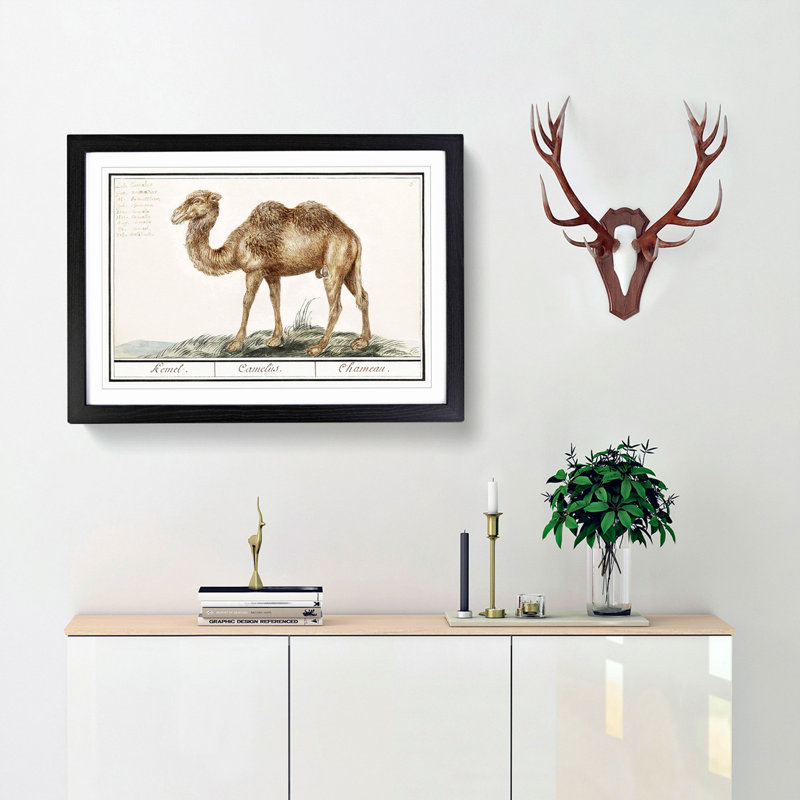 Camel by A.B. De Boodt - Picture Frame Painting Print, Black Framed, 36cm H x 48cm W x 2cm D