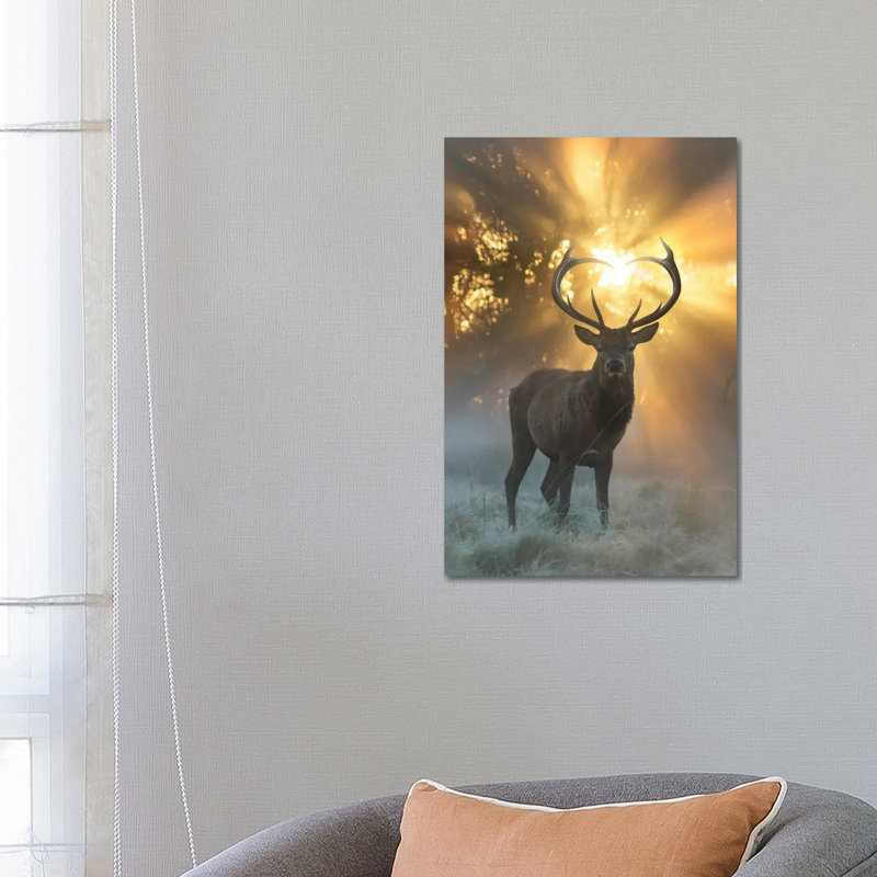 Heart Shaped Antlers Flare by Max Ellis - Wrapped Canvas Print, 66.04 cm H x 45.72 cm W