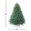 Sapin de Noël vert extra plein-496821981