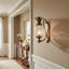 Plantation 1 Light Wall Sconce
