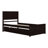 Platform Bed With Trundle Bed-456876916