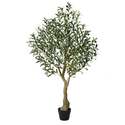 Adcock 84" Olive Tree in Pot