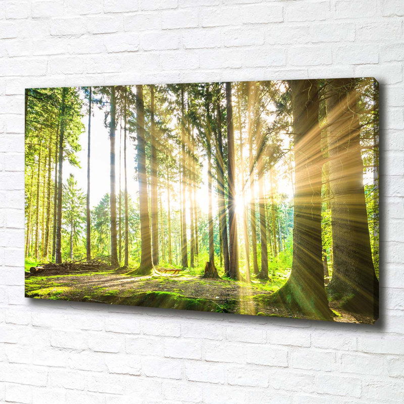 Forest In The Sun - No Frame Print on Glass, Canvas, 70cm H x 100cm W x 2cm D