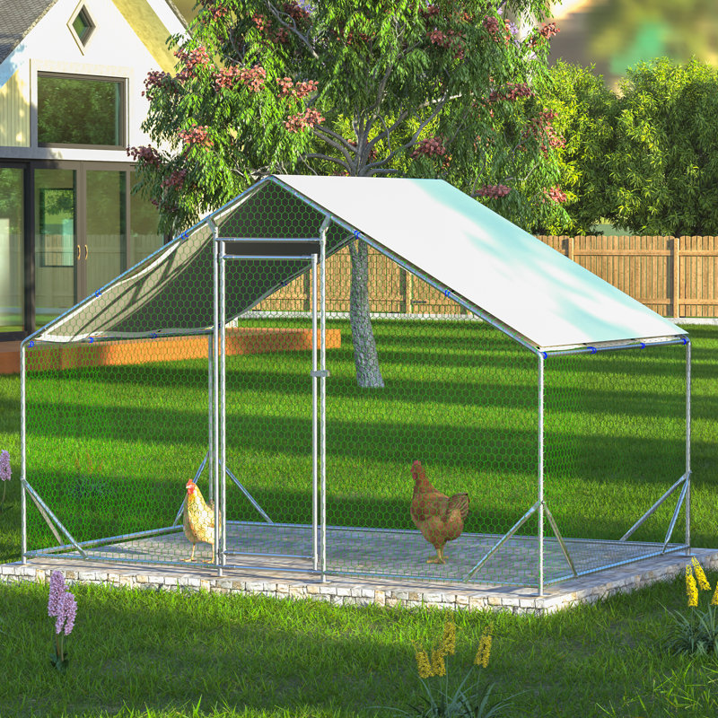 Cage à poules en métal Crellen, H 79 po x l 119 po x P 79 po