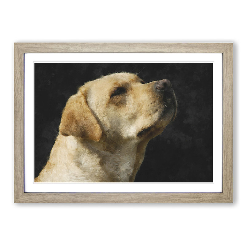 Golden Labrador Dog Vol.1 - Picture Frame Painting, 27cm H x 36cm W x 2cm D, Oak Framed