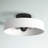 Ashtun Flush Mount-1670542357