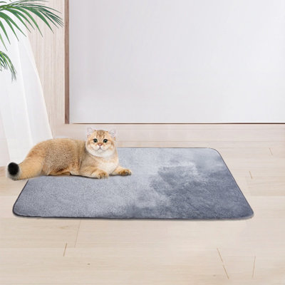 Pet Blanket