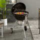 Weber 22" Master-Touch Gbs