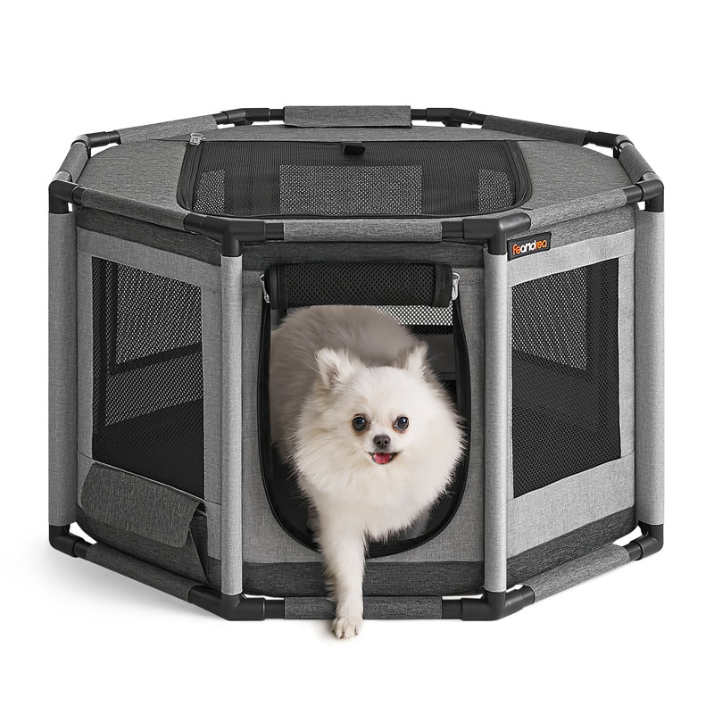 Talianna Portable Cat House