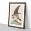Osprey by John Audubon - Framed Print-55577949-55577953