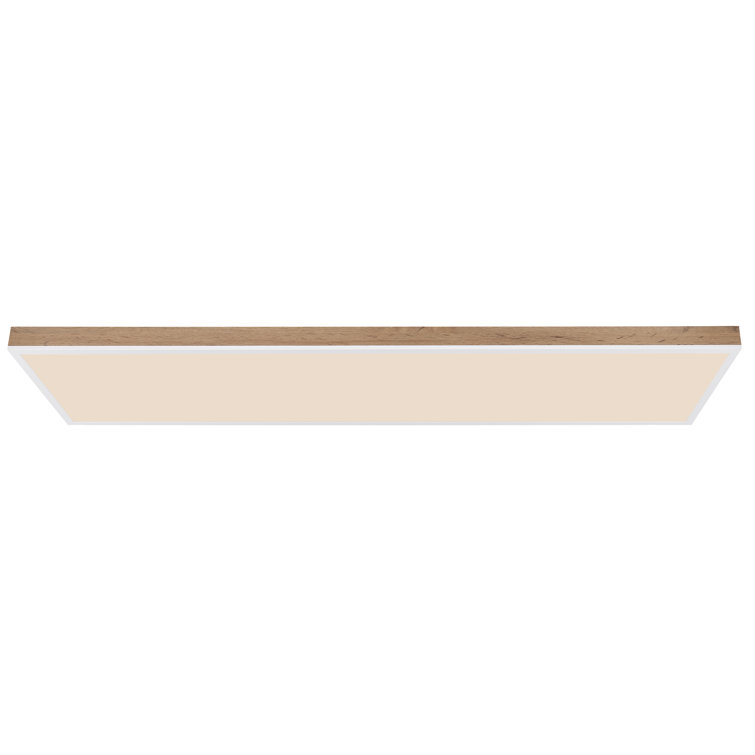 Ason Plastic LED Flush Mount