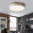 Circle Modern Led Flush Mount Ceiling Light-35469789-35469784