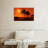 Orange Beach Scene-92214346