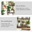 Vase Shape 5-Tier Plant Stand