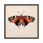«Butterfly Study V», impression sur toile-29480749-73648881-73648882