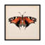 «Butterfly Study V», impression sur toile-73648882-73648881-29480749