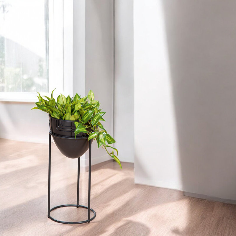 Alfredine Plant Stand, 50cm H x 24cm W x 24cm D