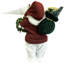 NCAA 12 "College Spirit Proud Santa-1478203